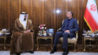 دیدار سفیر امارات متحده عربی با امیرعبداللهیان