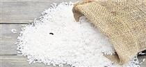 واردات برنج کاملاََ ممنوع شده و هیچ محصول خارجی وارد نشده است!