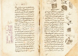 مجتهد ۱۰ ساله‌ای که افتخار پژوهشگران شد