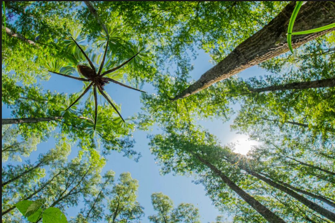 زیباترین کلوزآپهای ۲۰۲۳ را ببینید