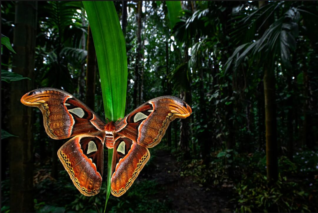 زیباترین کلوزآپهای ۲۰۲۳ را ببینید