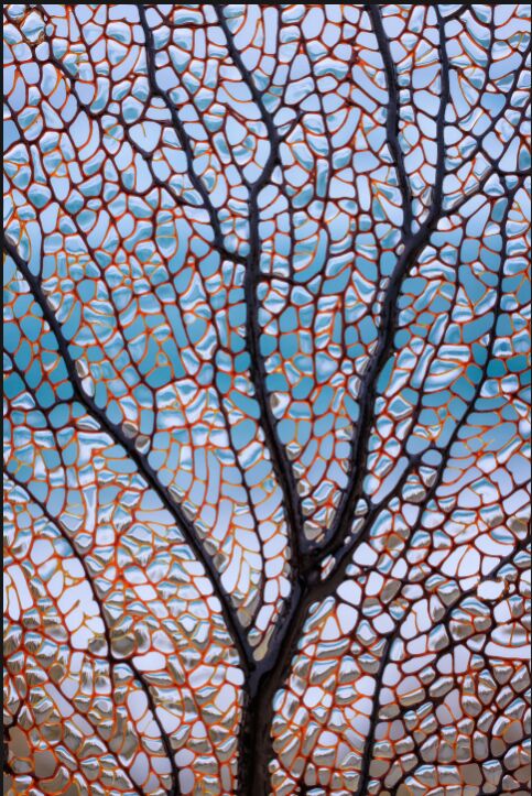 زیباترین کلوزآپهای ۲۰۲۳ را ببینید