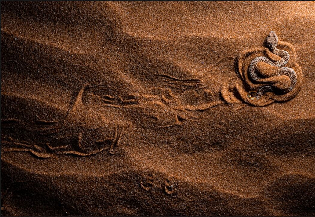 زیباترین کلوزآپهای ۲۰۲۳ را ببینید