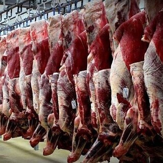 قیمت گوشت طی هفته آینده به شدت کاهش پیدا خواهد کرد