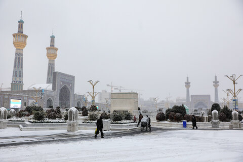 گزارش تصویری I بارش برف در حرم مطهر رضوی
