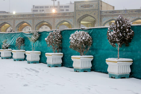 گزارش تصویری I بارش برف در حرم مطهر رضوی