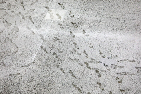 گزارش تصویری I بارش برف در حرم مطهر رضوی