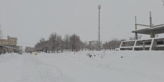 بارش برف در تهران ادامه دارد