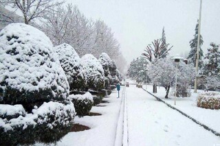 گیلان زیر برف به روایت تصویر