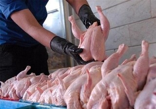 کاهش قیمت گوشت مرغ در میادین میوه و تره‌بار؛ هر کیلو کمتر از ۵۰ هزار تومان