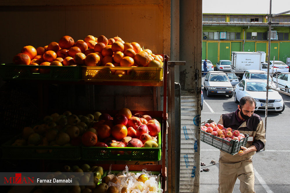 اختلاف ۴۱ درصدی قیمت میوه در میادین نسبت به میانگین قیمت‌های سطح شهر