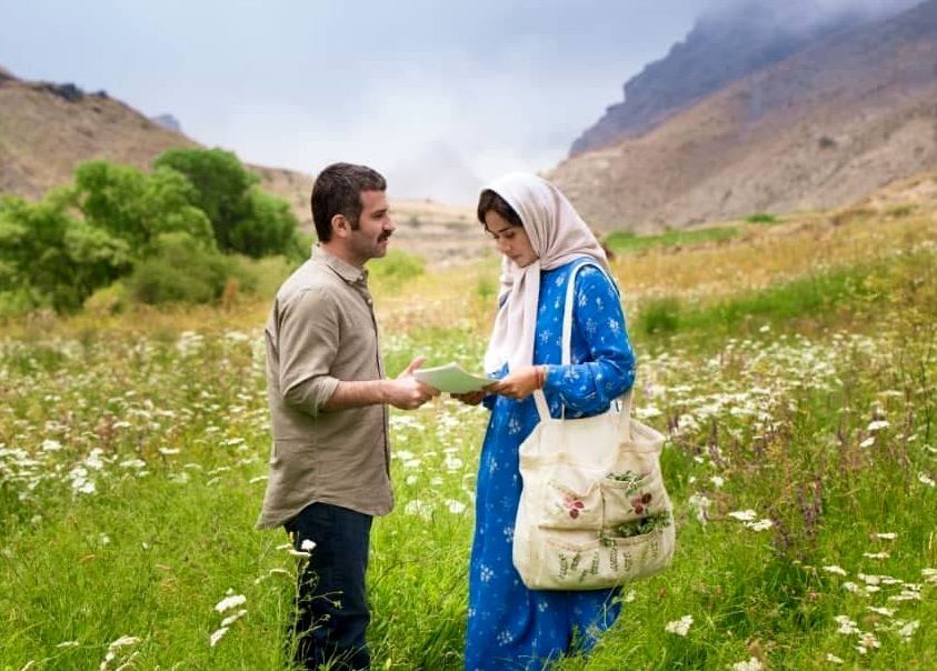 امید به گیشهها برگشت/ دیروز ۸۱ هزارنفر به سینما رفتند