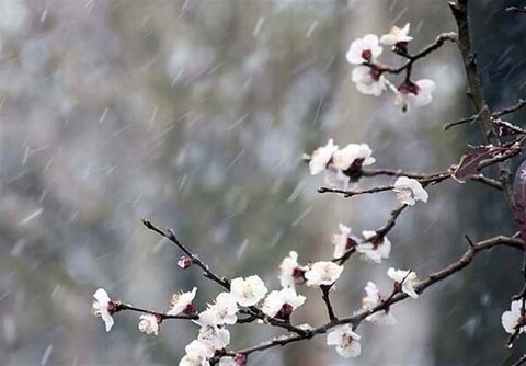 دمای مناطق شمالی ایلام در محدوده صفر درجه قرار دارد