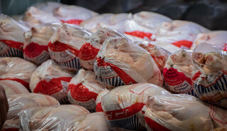 شهروندان مشهدی نگران کمبود مرغ در بازار نباشند