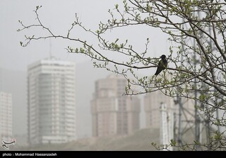 تداوم وضعیت "قرمز" هوا در تهران