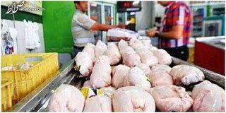 قیمت مرغ در میدان میوه و تره بار چند است؟