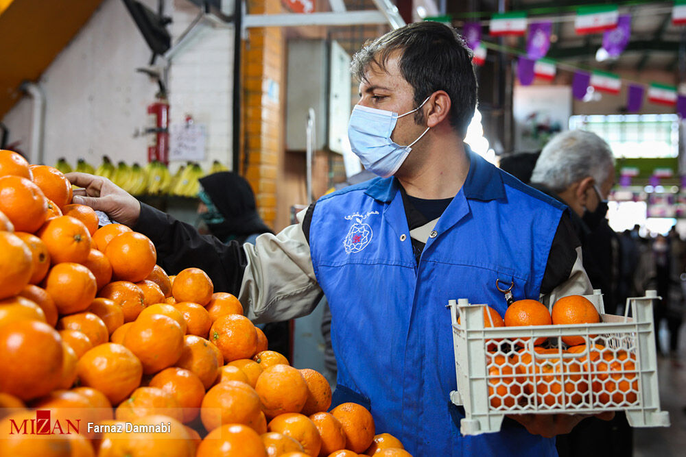 قیمت انواع میوه در میادین و بازارهای میوه و تره بار تهران اعلام شد