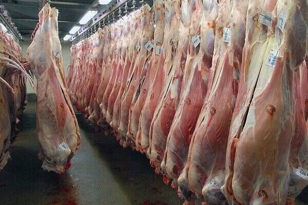 واردات گوشت گرم انجام شد/ تزریق روزانه ۶۰ تن گوشت وارداتی در بازار