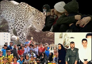 آشنایی با ۶ مستند راه یافته به جشنواره فجر/ از فیلمی که در تلویزیون نمی‌بینید تا زندگی عجیب یک روحانی!