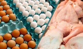 قیمت گوشت مرغ و تخم مرغ هیچگونه افزایشی ندارد/برخورد جدی با گران فروشان