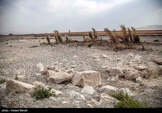 "خشکی تالاب‌های کشور" باعث گسترش بیماری‌های صعب‌العلاج می‌شود!