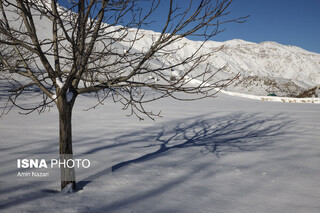 کوهنوردان به ارتفاعات البرز نروند