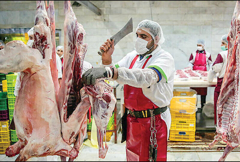 فاصله تولید تا مصرف عامل رشد قیمت گوشت