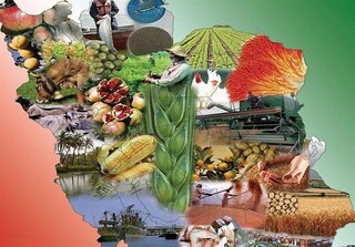 کشاورزی ایران ظرفیت تولید غذا برای ۵۰۰ میلیون نفر را دارد