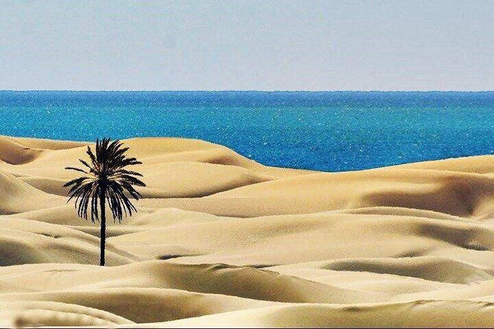 تولید یک سریال تلویزیونی با هدف معرفی قابلیتهای سیستان و بلوچستان/ «راز هفت خوان» در ایران و عمان مقابل دوربین میرود