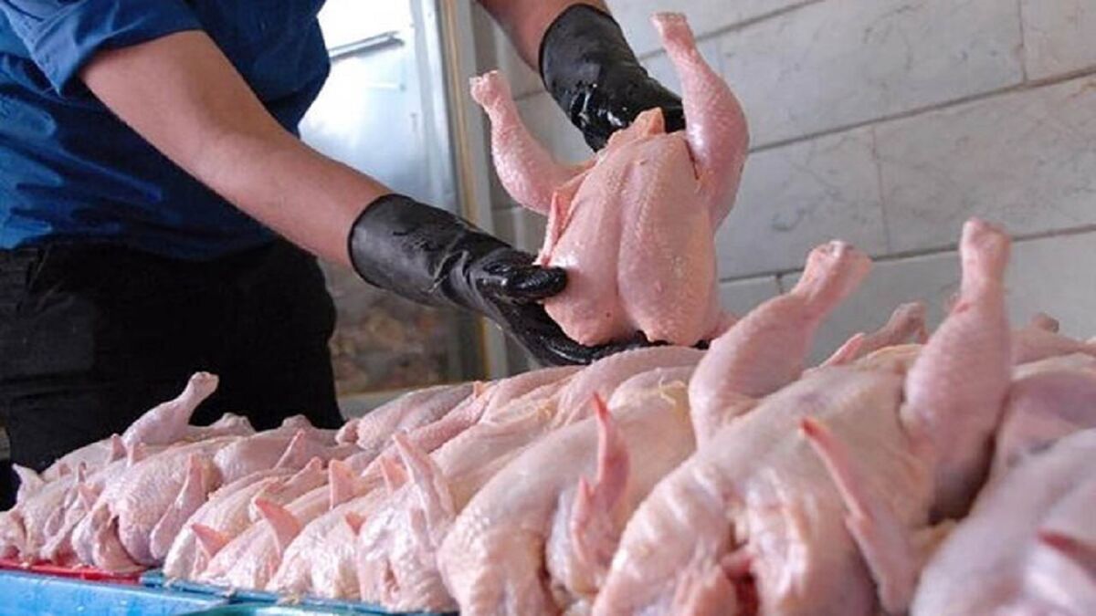 ۳۸۰۰ تن گوشت مرغ در مشهد برای شب عید ذخیره‌سازی شد