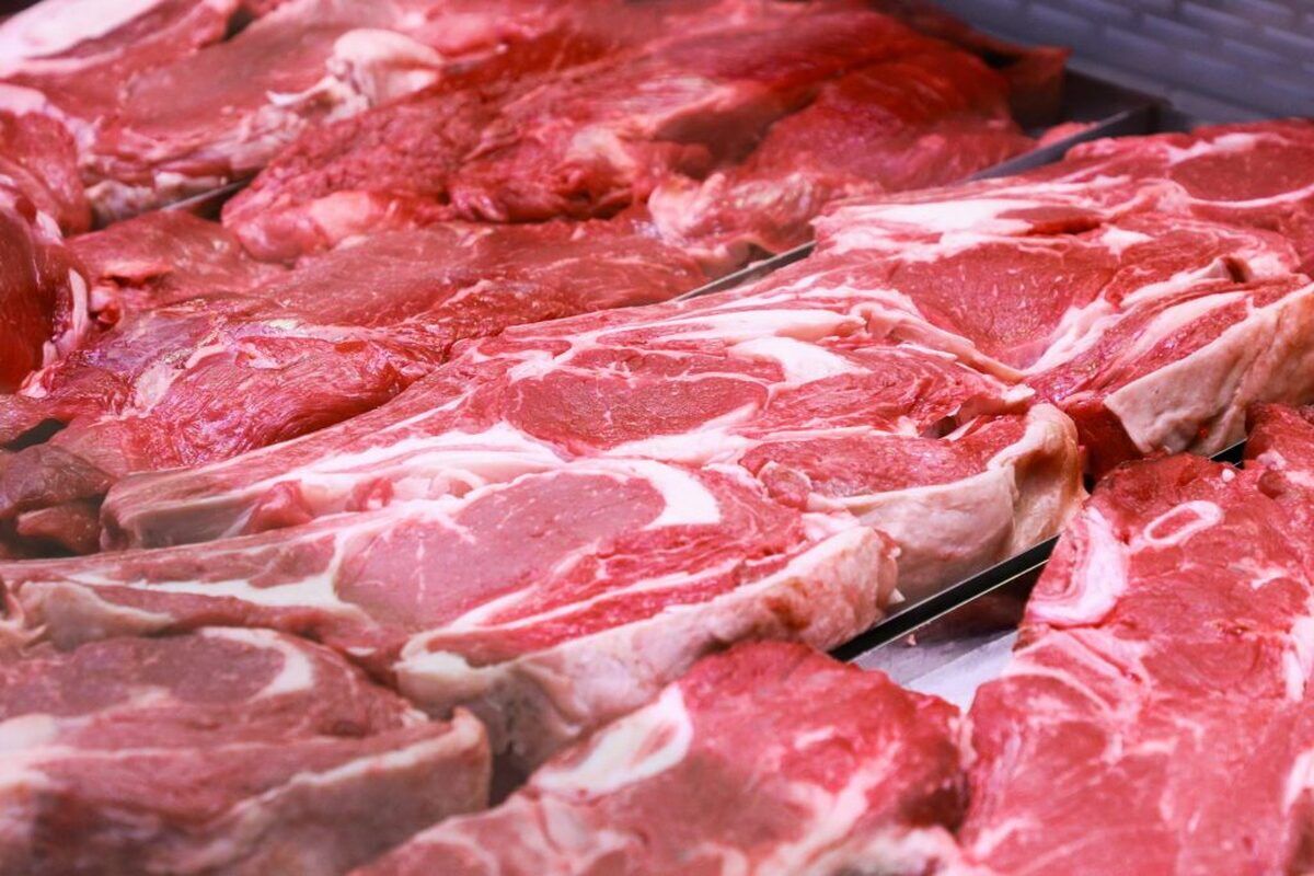 سازمان دامپزشکی کشور: گوشت قرمز گرم وارداتی و منجمد از سلامت بالا برخوردار است