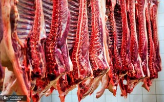 فروش سراسری گوشت گرم وارداتی آغاز شد+ جزییات