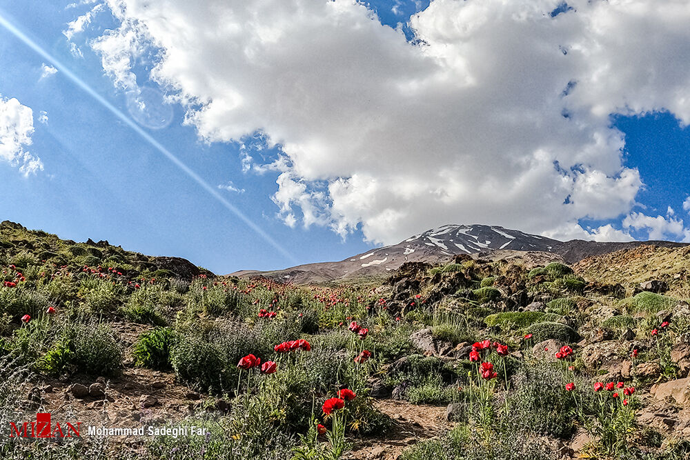 مسبب زلزله‌ دماوند مشص شد