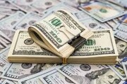 تولیدکنندگان بیش از ۳ ماه در صف دریافت ارز می‌مانند!