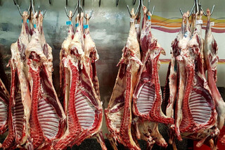 اعلام دلیل تفاوت قیمت دو برابری گوشت بسته‌بندی با لاشه گوسفندی