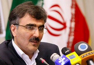 فرزین: نرخ ارز و طلا بر اساس واقعیتهای اقتصادی کشور تعیین میشود