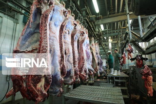 تولید گوشت قرمز در کشور ۹۰۰ هزار تن برآورد می‌شود