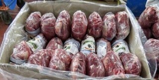 ۱۲ تن گوشت منجمد در مشهد توزیع شد