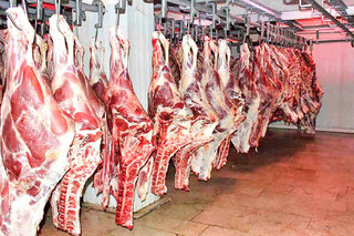 درخواست ۱۲۰ تُن گوشت گرم وارداتی برای توزیع در استان گیلان