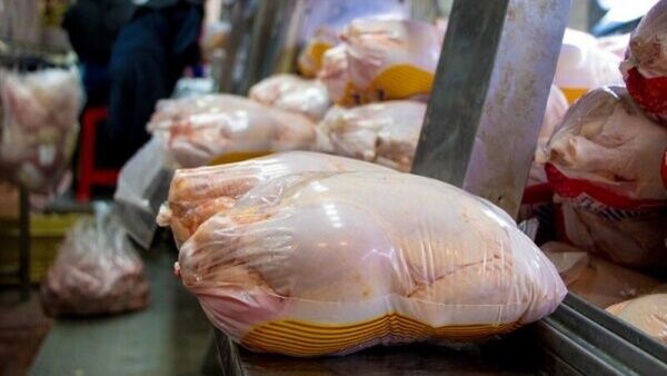 جدیدترین قیمت مرغ و ماهی در بازار و میادین