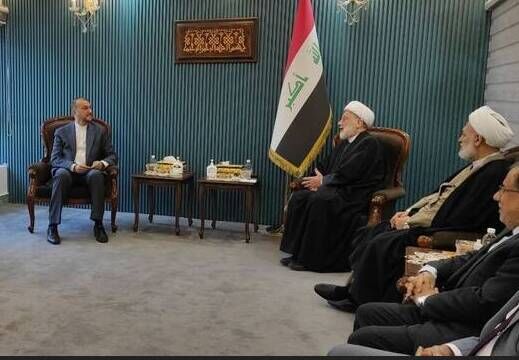 دیدار امیرعبداللهیان با رئیس مجلس اعلای اسلامی عراق