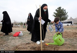 نماینده مردم تهران در مجلس: وزارت جهاد ‌برای کاشت یک میلیارد نهال ‌برنامه‌ریزی کرد