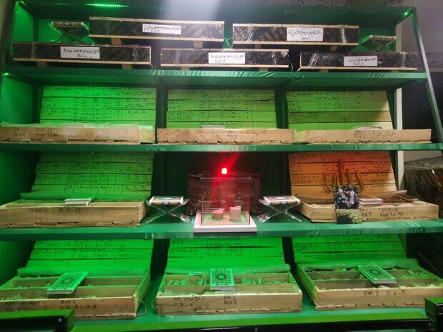 خشت به خشت عشق و ارادت در ترفیع گنبد امام حسین(ع)