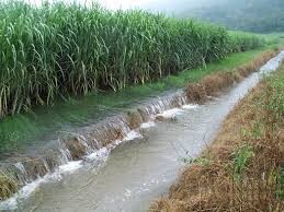 تولید یک کیلوگرم محصول کشاورزی با مصرف یک متر مکعب آب