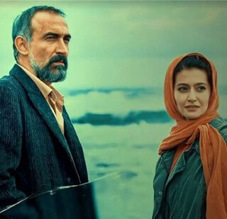 آغازی جدید با «پوست شیر» در پایان «سقوط»/ چرا دو سریال شبکه نمایش خانگی پرطرفدار شدند؟