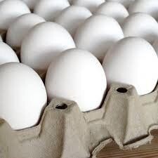 تخم‌مرغ زیر قیمت مصوب به فروش می‌رسد