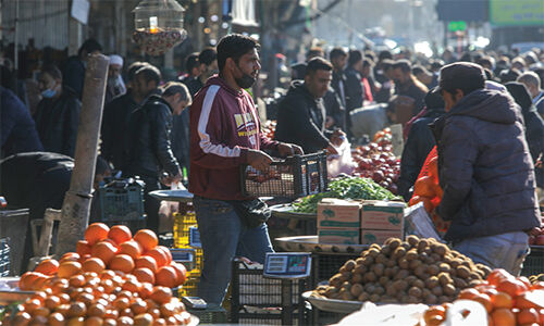 ۱۲ بازار عرضه مستقیم میوه در مشهد از امروز افتتاح شد
