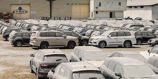 وزیر اقتصاد: ۱۰۰۰ خودروی خارجی از گمرک بوشهر ترخیص شدند