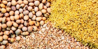 ارز ترجیحی وارد کنندگان نهاده را ۷ برابر کرد