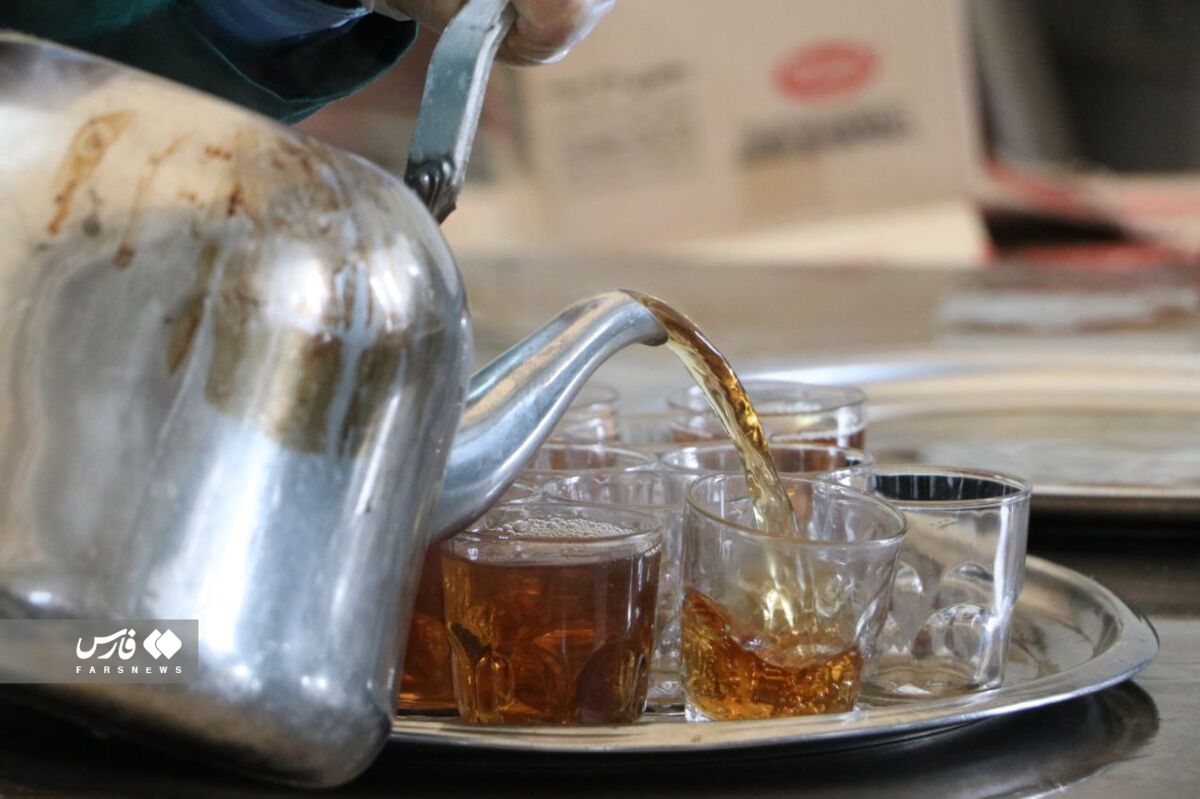 جوانی به سبک خادمهای خاص امام هشتم/ نخبهای که افتخارش خادمی در چایخانه حضرتی است!